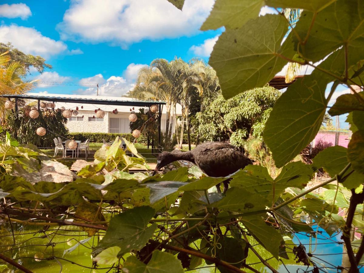 Villa Cristal Санта-Элена Экстерьер фото